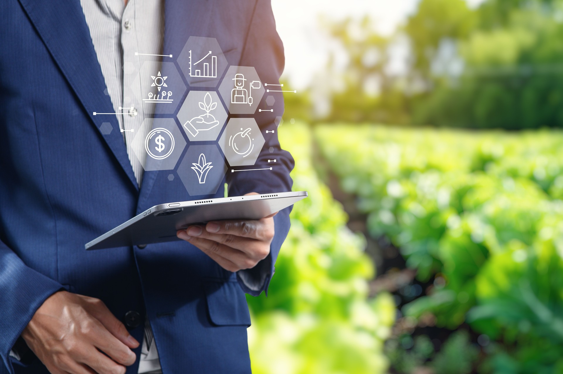 Smart Technology in Modern Farming: Innovating the Agriculture Sector