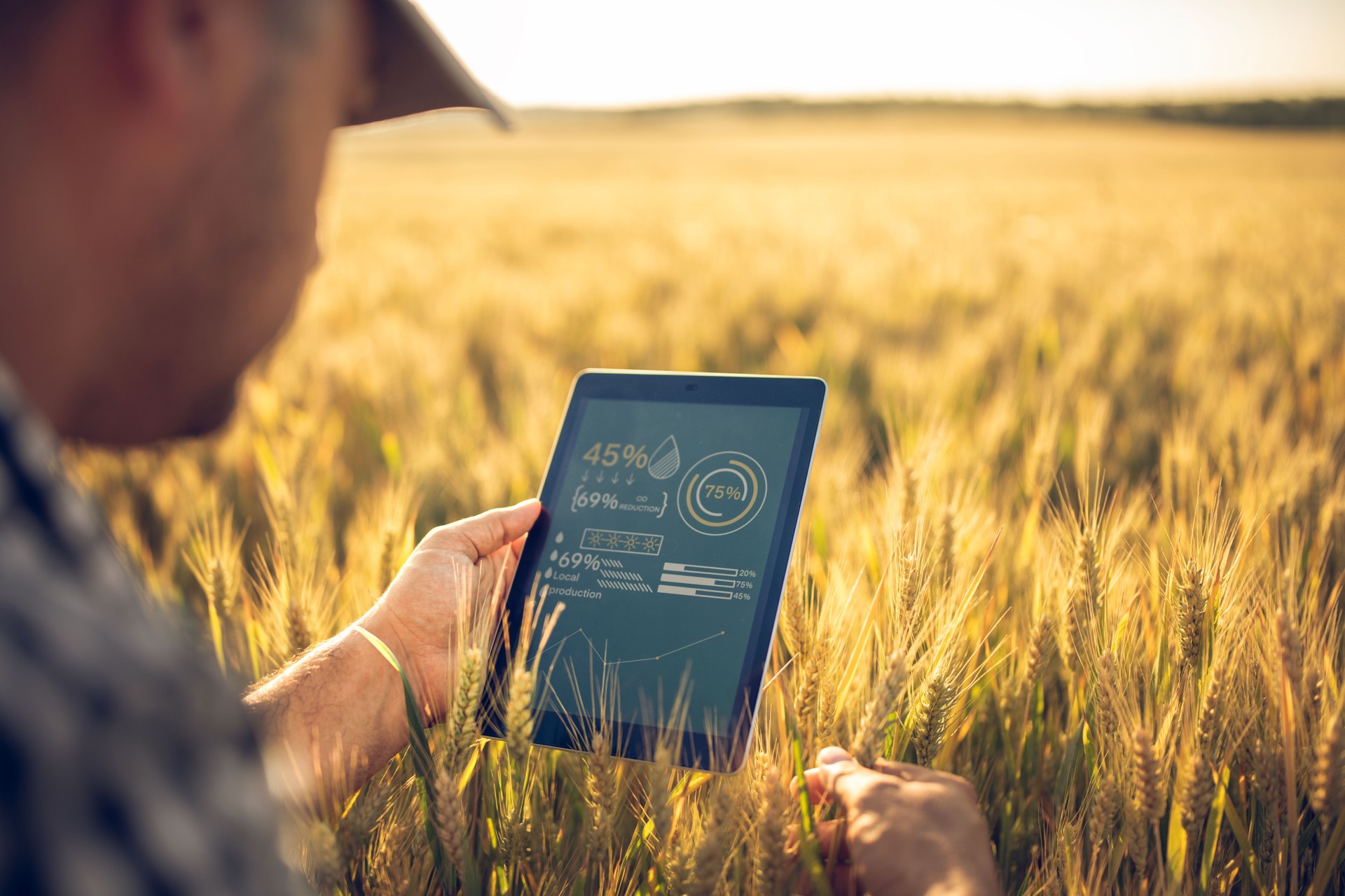 Farmer using technology and digital app for growth quality and agriculture condition.
